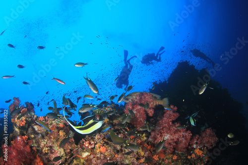 Scuba divers explore coral reef and fish