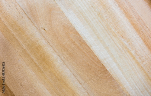 linden Wood Texture
