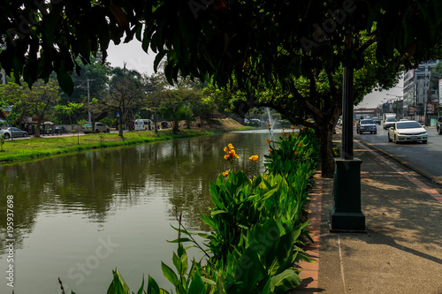 Fototapeta Naklejka Na Ścianę i Meble -  Chiang Mai green city