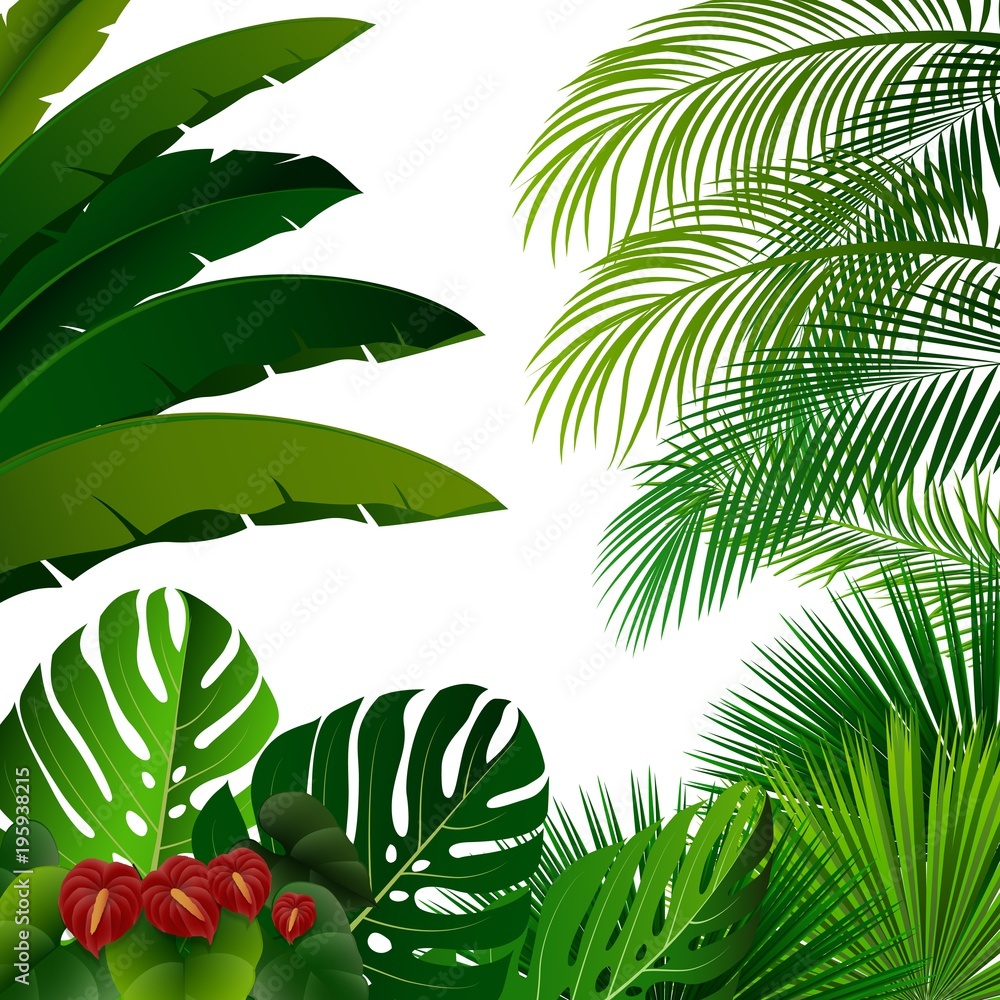 Obraz premium Tropikalna dżungla na białym tle