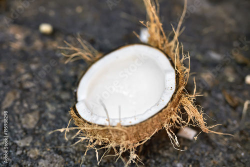 Sliced coconut on ground