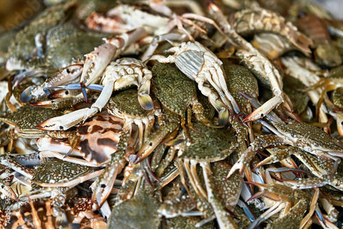 Lot of crabs on market