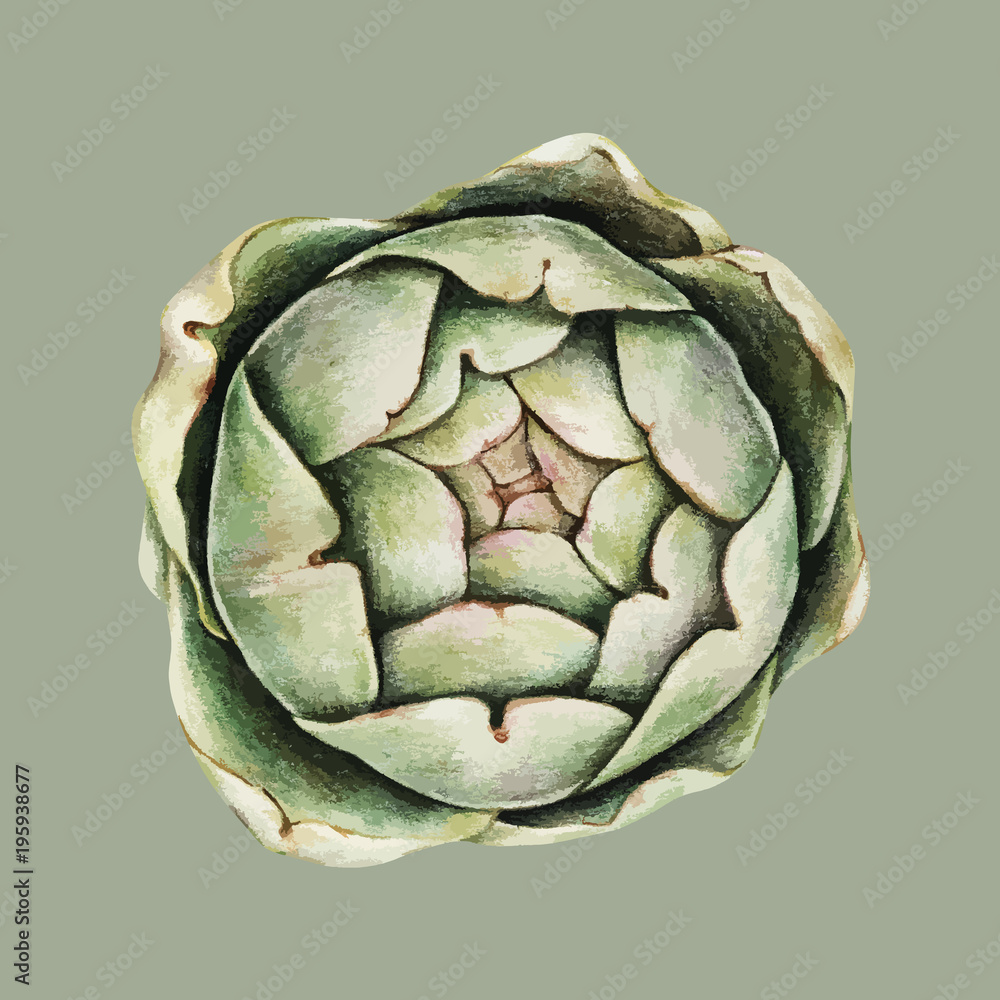 Fototapeta premium illustration of Hand drawn vegetable collection