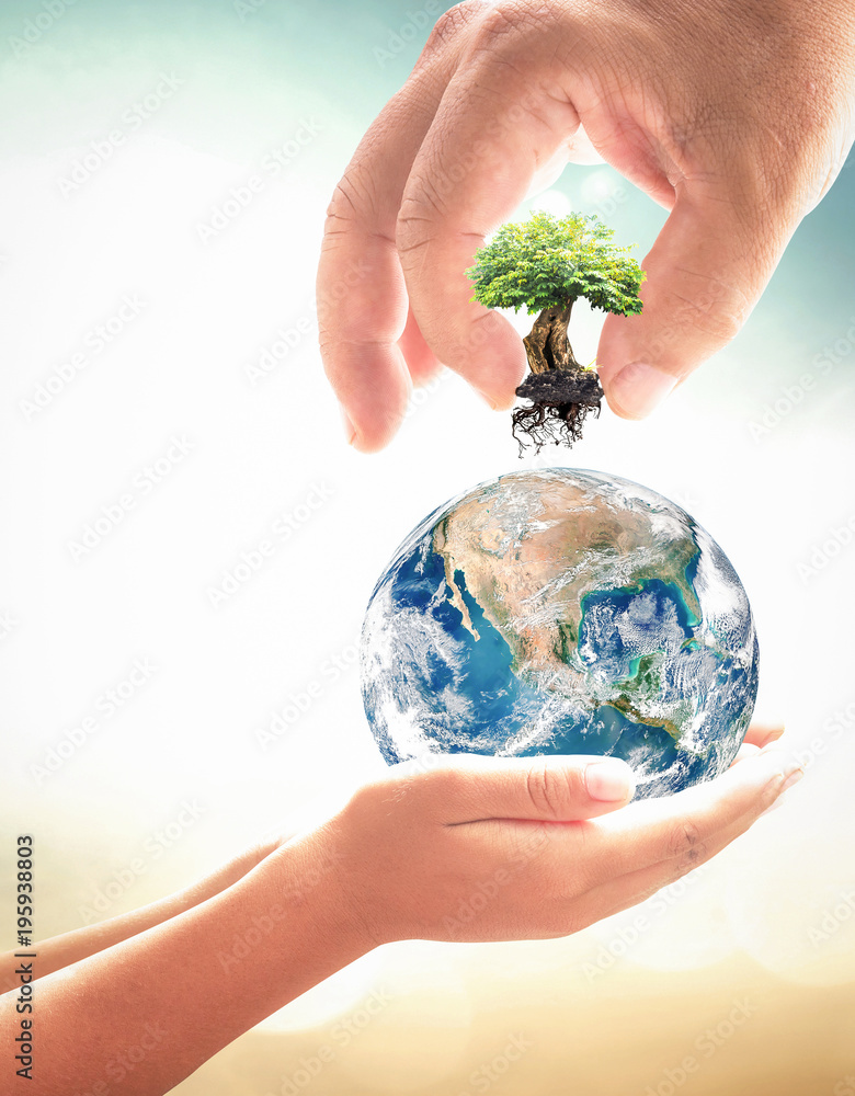 Earth day concept: Two human hands holding earth globe and big tree ...