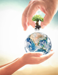 Hand planting tree on globe for environmental conservation