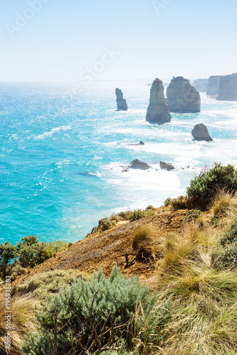 Grassland and green bushes at the Twelve Apostels at the Great Ocean Road, Victoria, Australia, vertical photo