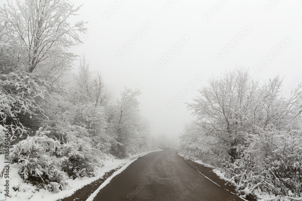 Obraz premium Road to Nowhere, Mazandaran, Iran