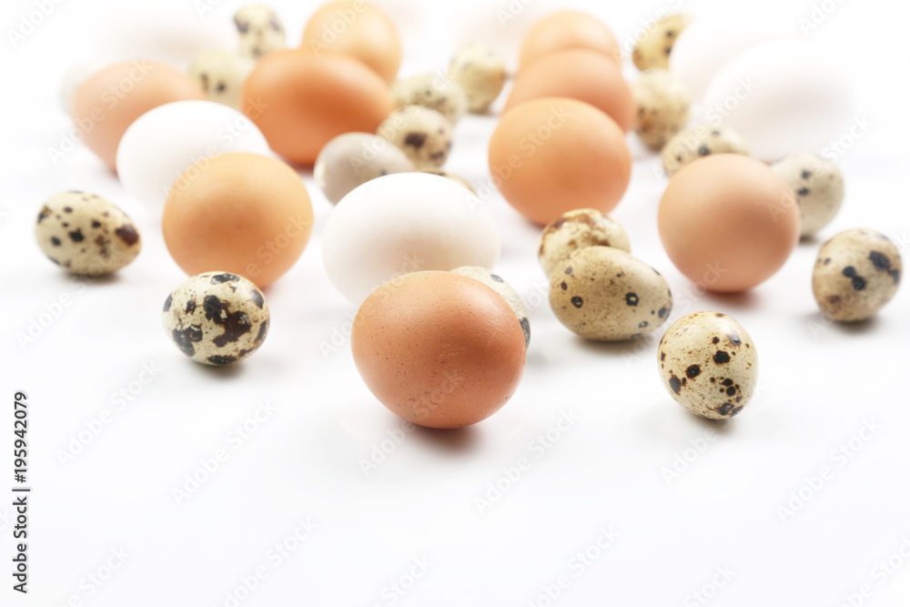 different chicken eggs lying randomly on white background. different chicken eggs lying randomly on white background.