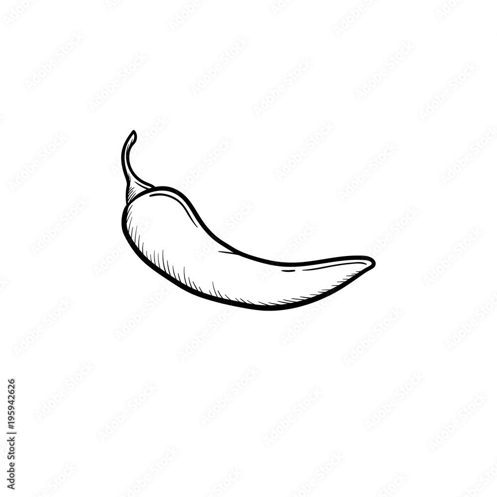 Chili pepper hand drawn outline doodle icon Stock Vector Adobe Stock