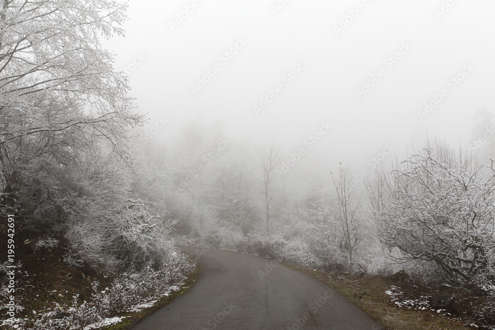 Obraz premium Snow in Filband's Road, Mazandaran, Iran