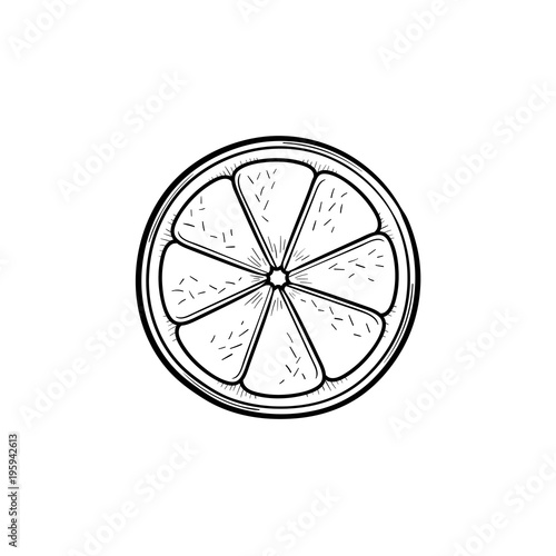 Slice of lemon hand drawn outline doodle icon. Vector sketch illustration of lemon for print, web, mobile and infographics isolated on white background.