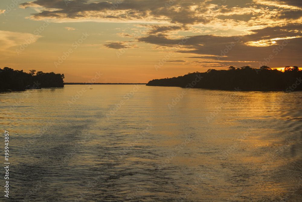 'Rio Negro', Amazon forest / Brazil 'Rio Negro', Amazon forest / Brazil
