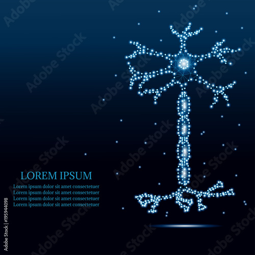 neuron, polygon blue stars 1-3