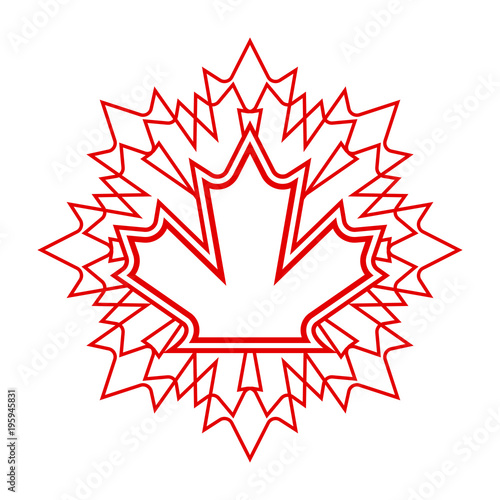 Unique Maple Leaf Design