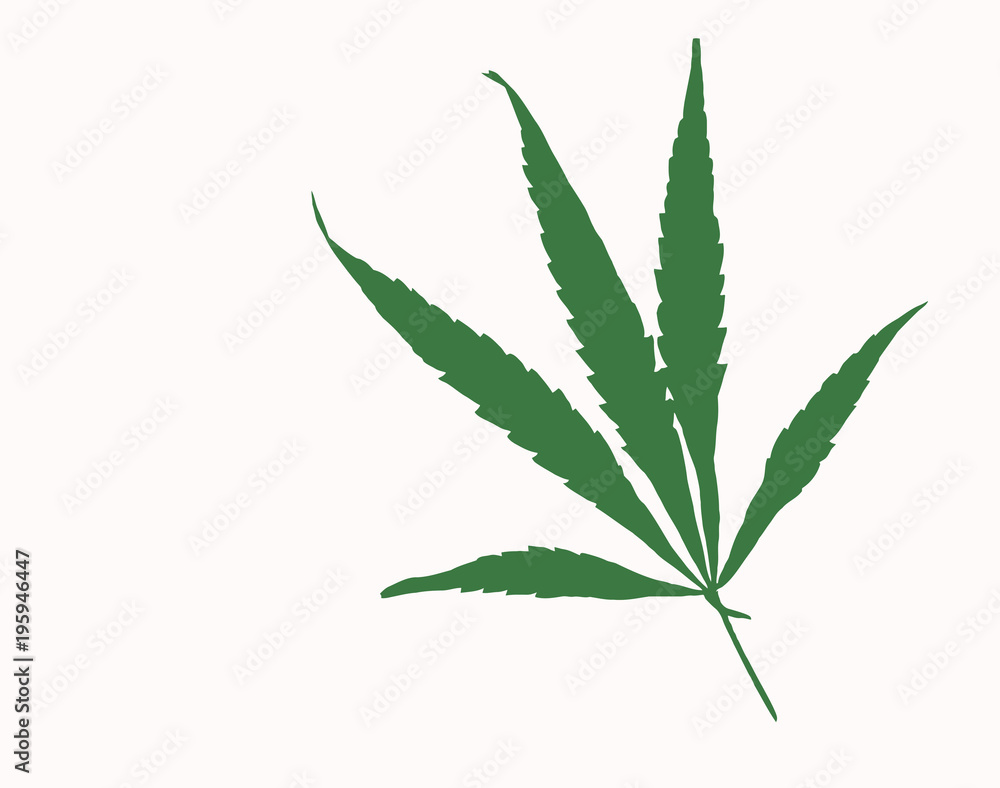 Simple marijuana leaf illustration Simple marijuana leaf illustration