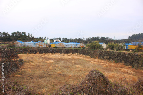 Wallpaper Mural Beautiful Scenery of Jeju Island / Scenery Picture of Jeju Island, Korea Torontodigital.ca