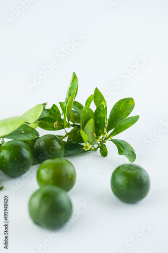 Lime. Fresh fruit with leaf isolated on white background. 