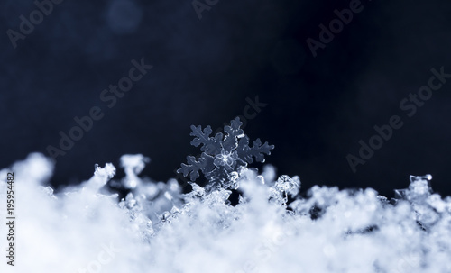 snowflake on snow, snow © vadim_fl