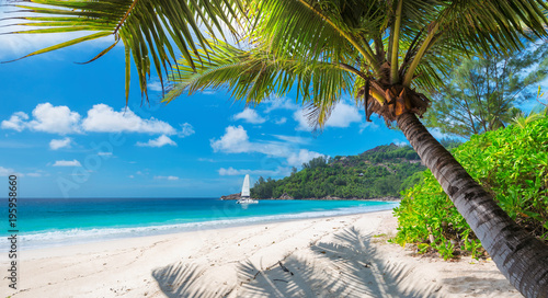 Fototapeta Naklejka Na Ścianę i Meble -  Sandy beach with palm trees and a sailing boat in the turquoise sea on Paradise island. Fashion travel and tropical beach concept. 