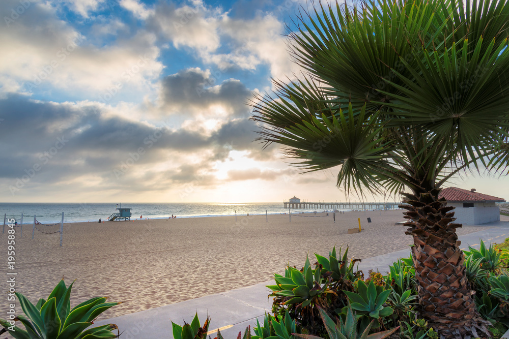 Palm trees at sunset in Manhattan Beach. Fashion travel and tropical beach concept. 
