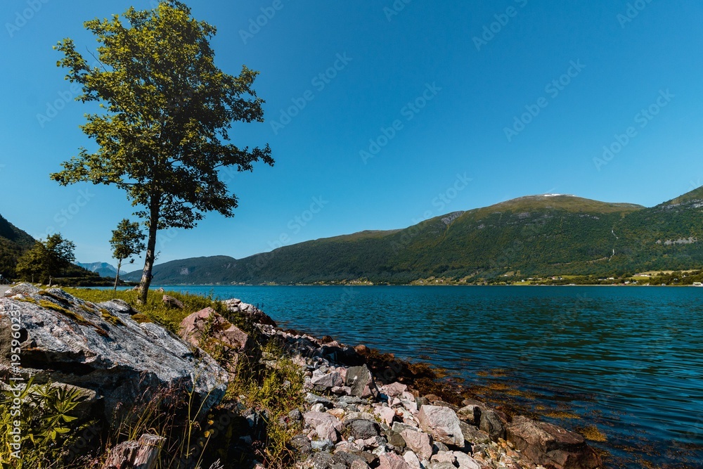 norwegen, landschaft,berg, baum,küste,fjoprd,see