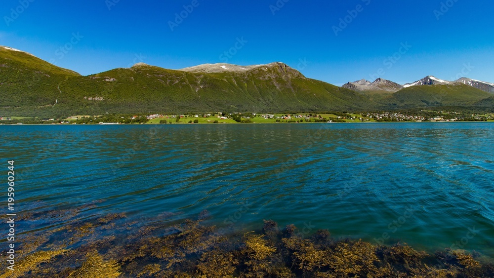 norwegen,see,fjord,berg, blau,himmel,wolken,ufer,algen