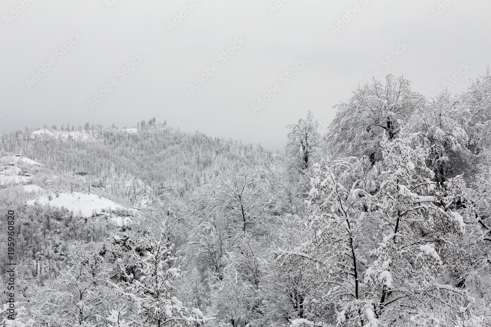 Obraz premium Winter in Talesh, Gilan, Iran