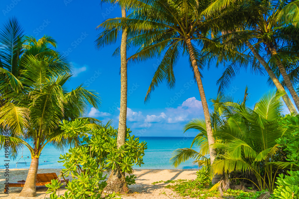 Fototapeta premium Beautiful tropical beach and sea