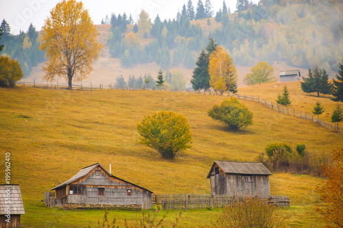 Autumn scenery landscape with colorful forest, wood fence and hay barns in Prisaca Dornei, Suceava County, Bucovina, Romania