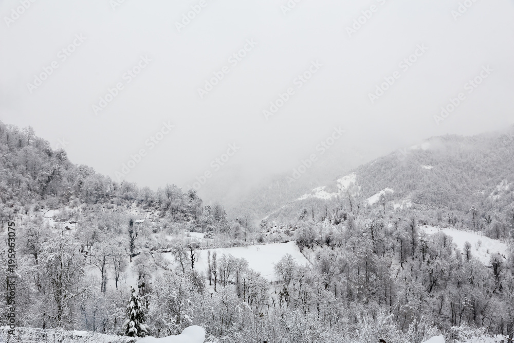 Fototapeta premium Winter in Talesh, Gilan, Iran