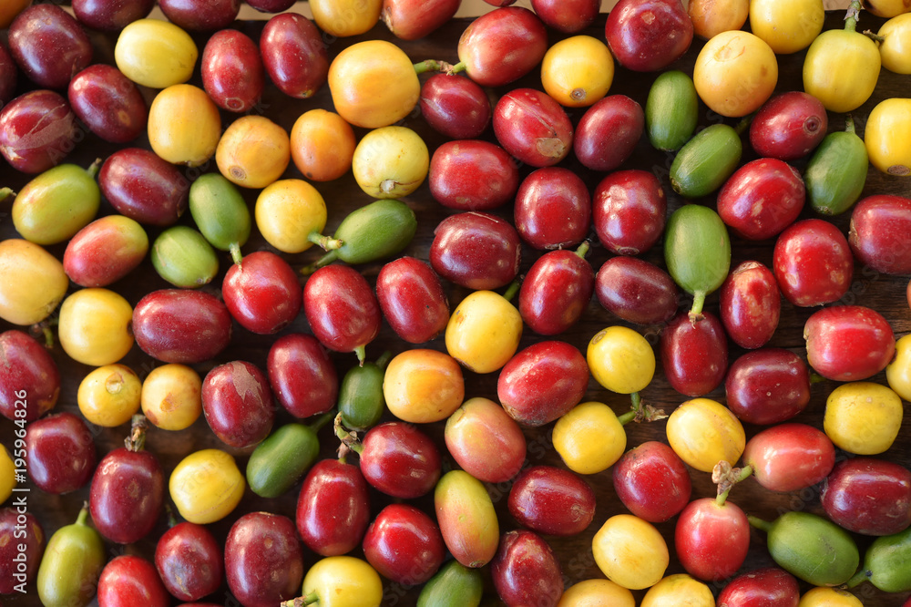 fresh coffee beans for background fresh coffee beans for background