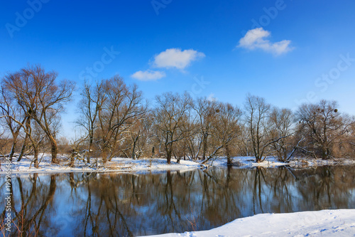 Reflections of trees on winter river at sunny day. Winter landscape