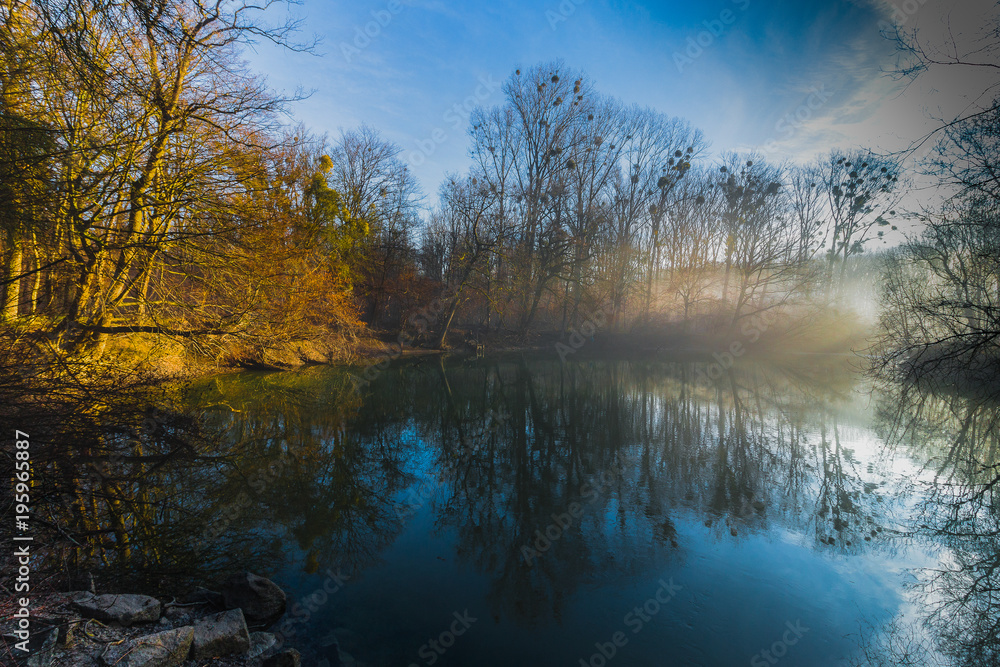 Rhein, auen ,wörth ,frühnebel,nebel ,landschaft ,wasser,bäume,winter,gold, blau Rhein, auen ,wörth ,frühnebel,nebel ,landschaft ,wasser,bäume,winter,gold, blau