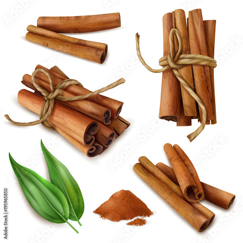 Realistic Cinnamon Sticks Set