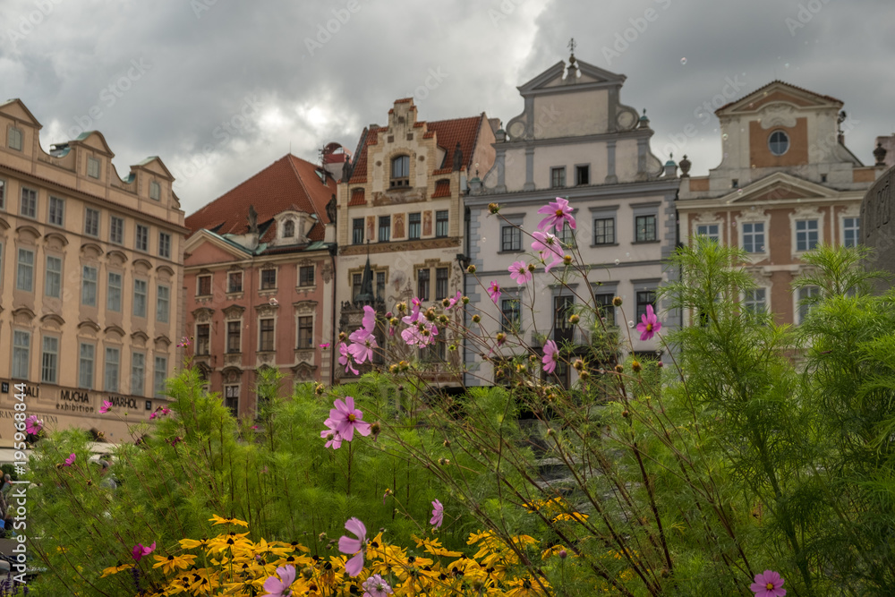 Flowers by Jan Hus Monument Prague