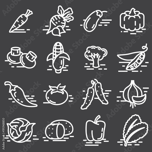 Vegetables icons line set