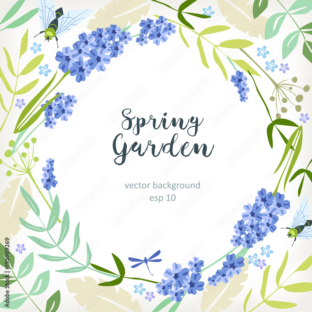 background spring summer floral herbs with blue flowers lilac, lavender
