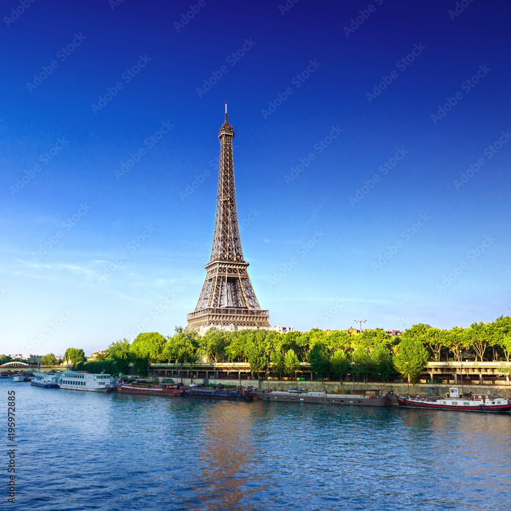Fototapeta premium View of Paris with Eiffel tower