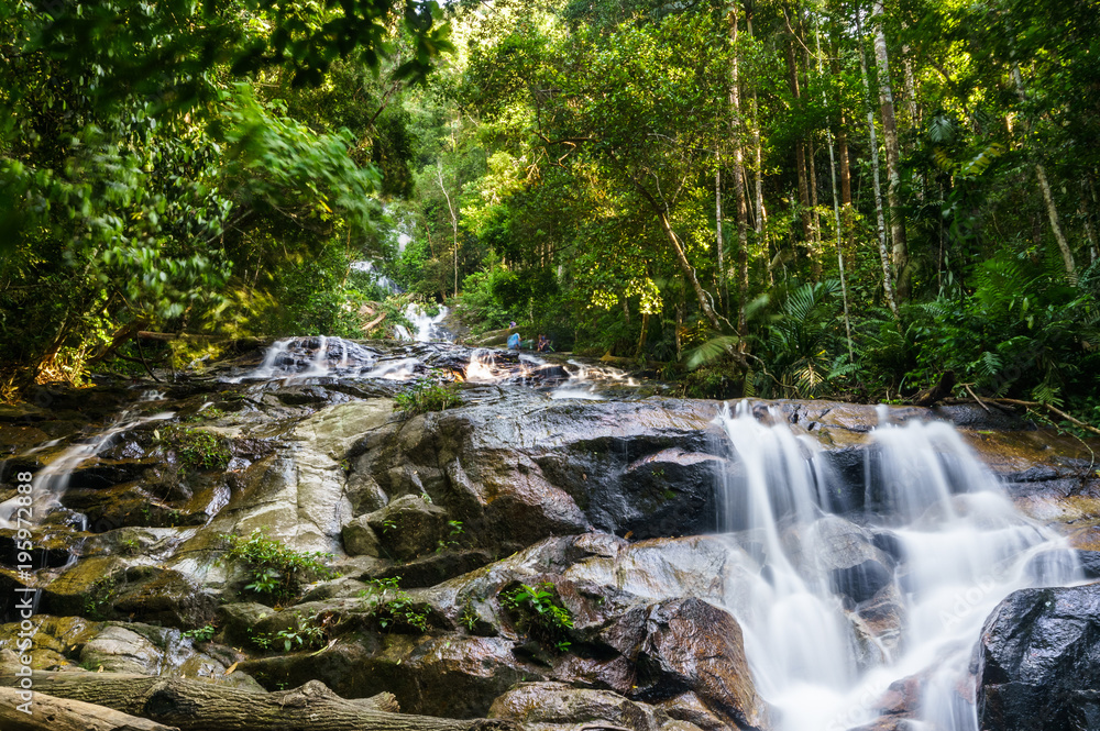 Naklejka premium scenery of tropical forest waterfall