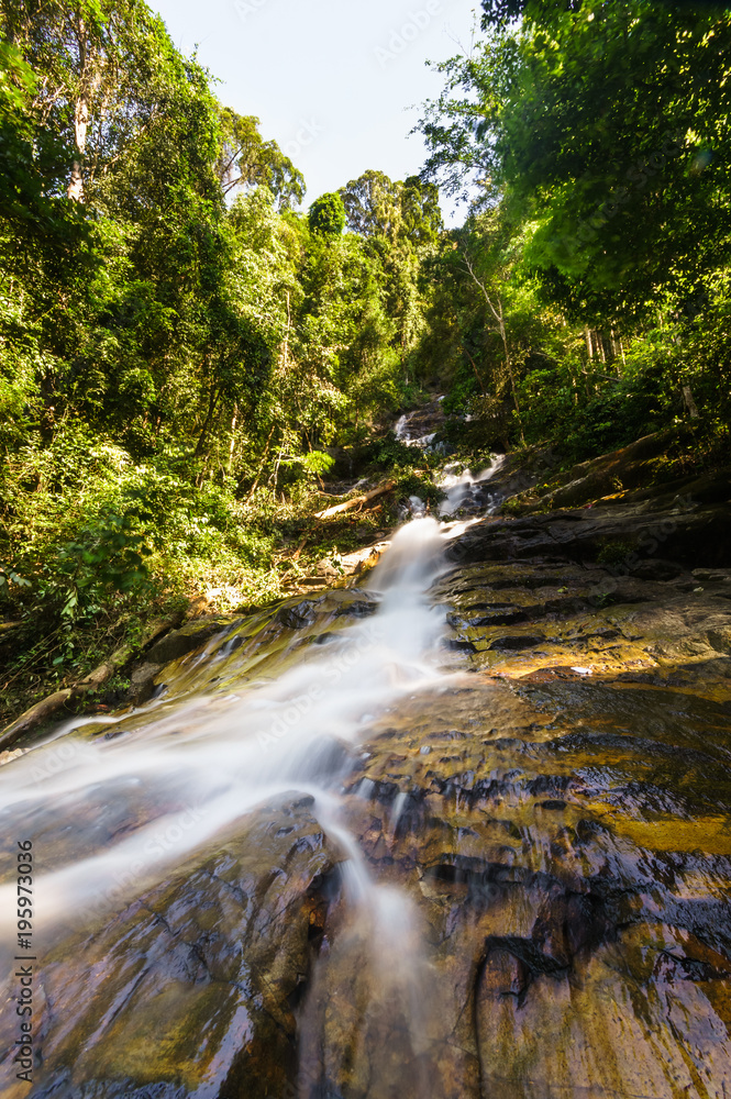 scenery of tropical forest waterfall scenery of tropical forest waterfall