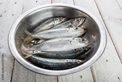 Fresh mackerel fish in metal bowl