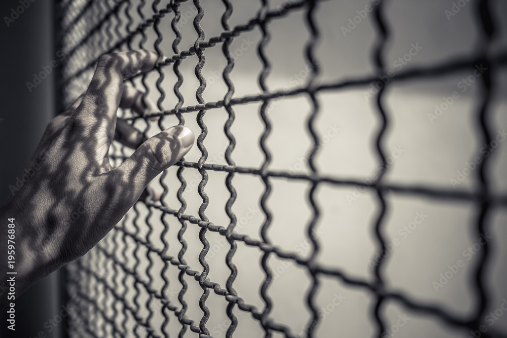 hand of prisoner holding rustic metal fence with pattern shadow, criminal locked in jail waiting for freedom, black and white tone hand of prisoner holding rustic metal fence with pattern shadow, criminal locked in jail waiting for freedom, black and white tone