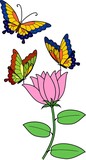 Multicolored butterflies on pink flower with green leaves on white background