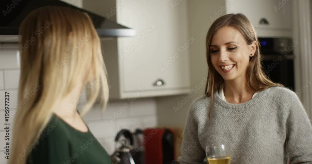 4K Happy female friends socializing at home, drinking wine & sharing the gossip 4K Happy female friends socializing at home, drinking wine & sharing the gossip