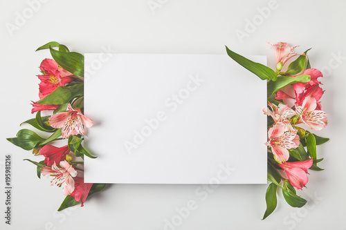 top view of blank card and beautiful pink flowers on grey