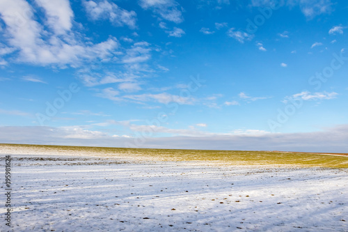 Field with rest of snow under blue sky