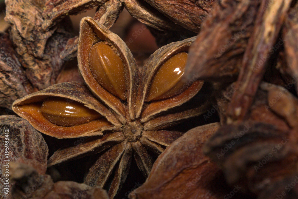 star anise close-up star anise close-up