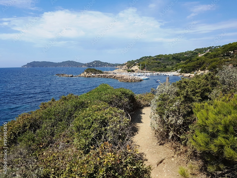 Nature path along mediterranean coast in french blue riviera