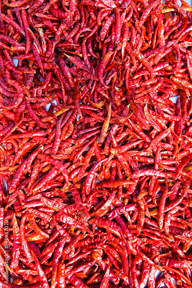 Fototapeta premium The fruits of red pepper are dried.
