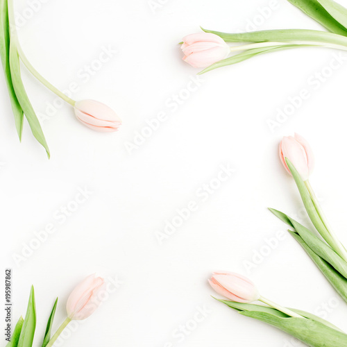 Fototapeta Naklejka Na Ścianę i Meble -  Frame of pale pink tulip flowers on white background. Flat lay, top view. Minimal floral mock up concept.